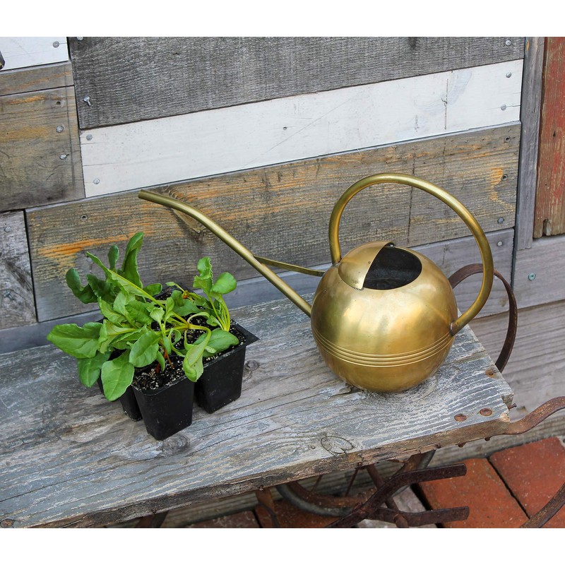 Achla WC-01 Designs Watering Can, 1L, Brass