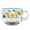 STP GOODS Glass Mug Set of 2, Clear Tea Cup