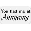 You Had Me at Annyeong - 100 Stickers Pack 2.25