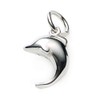 Leger T25 Dolphin Dolphin Pendant, Titanium Top, Made in Japan,
