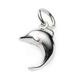 Leger T25 Dolphin Dolphin Pendant, Titanium Top, Made in Japan, Hypoallergenic, Titanium Metal, No Stone