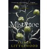 Mistletoe: 'The perfect read for frosty nights' HEAT