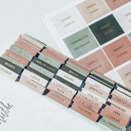 Decorative Bible Tabs for Women (96 Pieces) - Earth Tone Neutral Gold Foil Bible Tabs - Laminated Bible Labels Tabs – Remove & Replace Bible Index Tabs - Bible Study Supplies for Women (Willow)