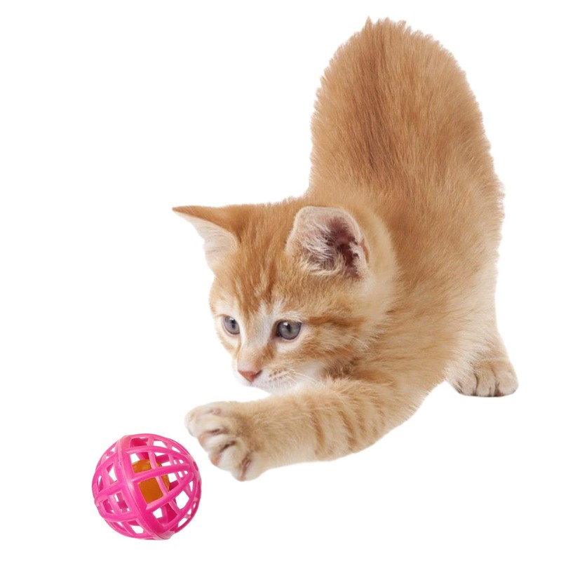 PLATZ PET SUPPLIES & FUN Cat Toy Lattice Ball 4P