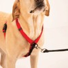 SPORN Ultimate Control Dog Harness, Red, Small