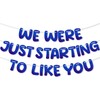 We Were Just Starting To Like You Banner, Pre Strung