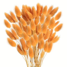 120PCS Orange Bunny Tails Dried Flowers, 17inch Dried Pampas Grass Decor for Wedding, Home, Rustic Party, Decorations