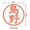Shachihata Stamp Name 6 Correction Stamp XL - 6 Stamp