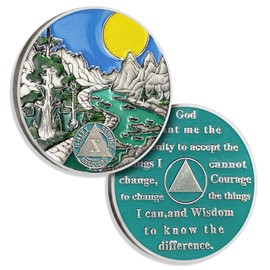 10 Year Sobriety Coin Ten Year AA Coin Alcoholics Anonymous Medallion Sun Chip AA Chips and Medallion Sobriety Gifts for Men Women Recovery Gift Anniversary Token Forest River Tree Coin