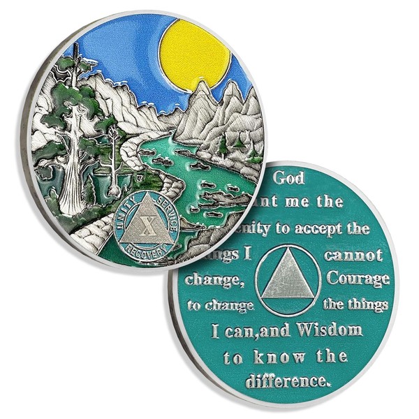 10 Year Sobriety Coin Ten Year AA Coin Alcoholics Anonymous