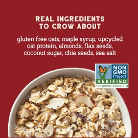 Seven Sundays Protein Oats, Maple Almond, 32 Oz Bag (Pack of 4), Gluten Free, 11g Upcycled Protein, Enjoy Warm, Cool or as Overnight Oats