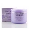 Unknown 피부관리 각종보습인자 이코트 여자화장품 콜라겐 크림 100g Skin Care Various Moisturizing Factors Ecot Women's Cosmetics Collagen Cream 100g [Single item]