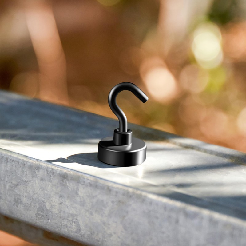 Neosmuk Black Magnetic Hooks, 20 kg High Performance Earth Magnets