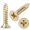 Cauldham Bright Brass Wood Screws #9 x 1 Inch for