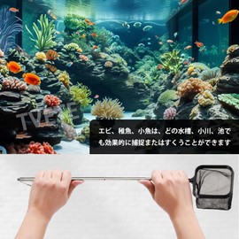 Stainless Steel Fish Net, Fish Net, Telescopic Stainless Steel Handle, Square Net, Set of 2, Adjustable Length up to 8.3 - 18.1 inches (21 - 46 cm), Fishing Net, Cleaning Tool, Small Square Net,