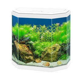 Ciano Aqua 30 White LED Hexagonal Children's Stylish Cold Water Gold Fish Tank