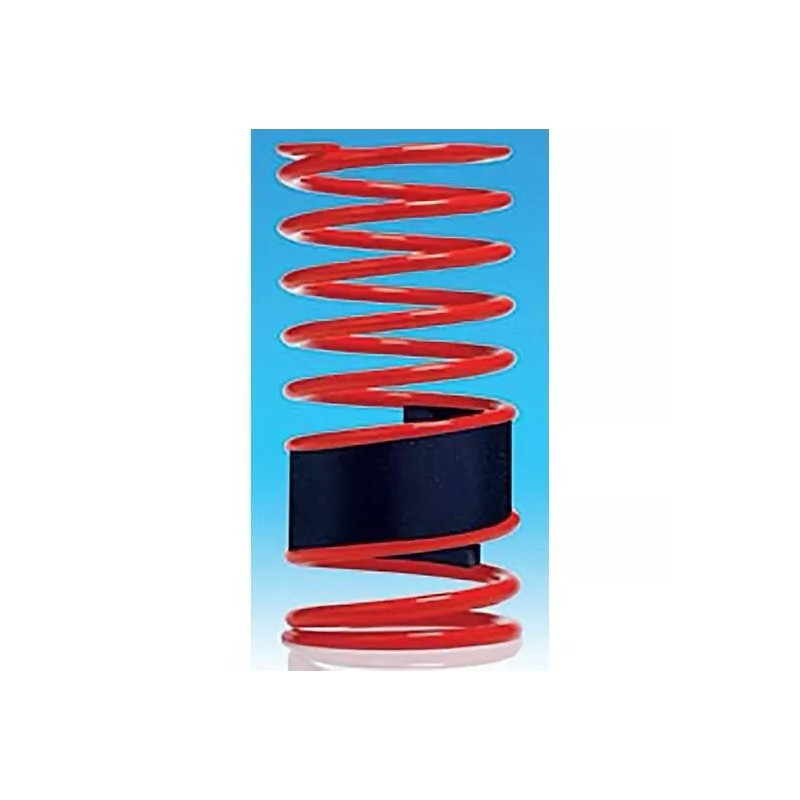 AutoCraft Coil Spring Booster