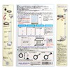 Azoo Pipe Feeder Set
