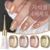 The Roman Maple Gold Cat Eye Magnetic Gel 4 Color Set, 1 piece, 40g, Mixed / 더로만 메이플 골드 캣아이 자석젤 4색 세트, 1개, 40g, 혼합