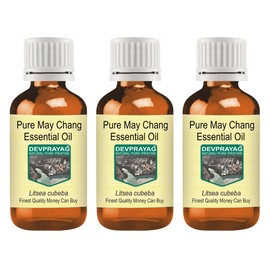 Devprayag Pure May Chang Essential Oil (Litsea cubeba) Natural Therapeutic Grade Steam Distilled (Pack of Three) 100ml X 3 (10 oz)