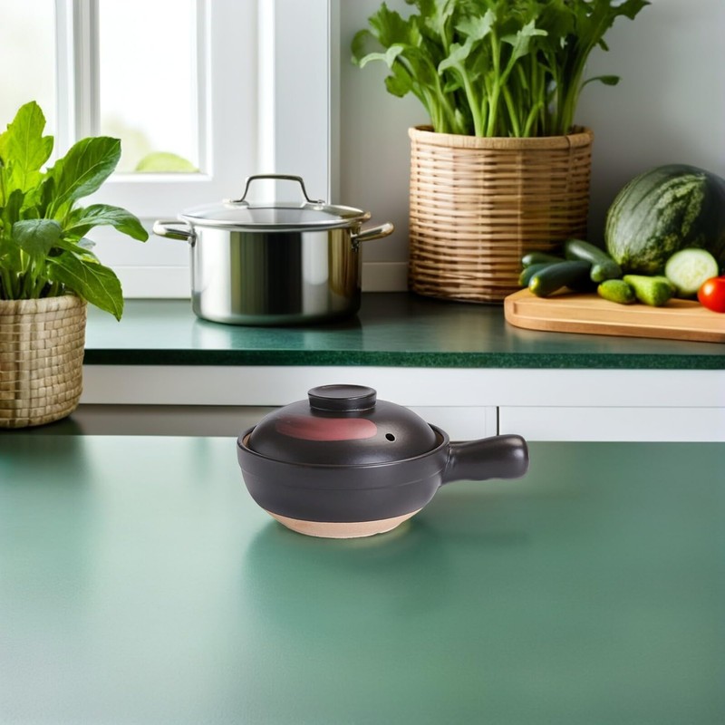 HOLIDYOYO Clay Pot for Cooking Asian Food with Silicone Lid