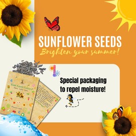 Mammoth Sunflower Seeds for Planting - to Plant About 500 Giant Sunflowers - Sunflower Seeds Bulk Packet - Sun Flower Seeds