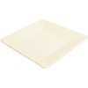 TrueCraftware- 10-1/4” x 10-1/4” Square Plate Passion Pearl Color Melamine-
