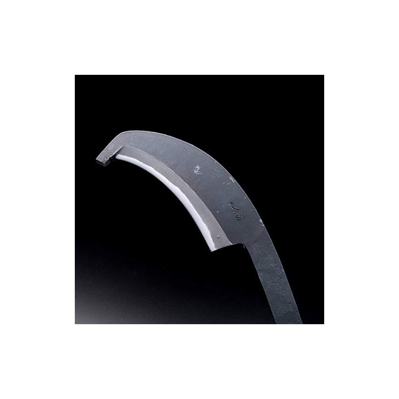 Mayo Celebration Tosa Fire Personality Machete "Finest" Blue Paper Steel