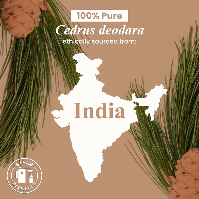 Cedarwood Essential Oil - 1 Fl Oz - 100% Pure