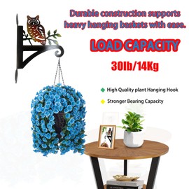 HOOEN Hanging Plant Bracket Owl Wall Mounted Plant Hangers Outdoor for Flower Pot Hangers,Hummingbird Feeder Hook,Indoor Windchime Hanger(Owl)