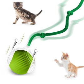 Doweve Interactive Cat Toys for Indoor Cats, Smart Moving Interactive Cat Ball, Durable Pet Enrichment Toys to Keep Cats Active and Entertained (Green)