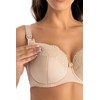 Teyli Damen Still BH - BH Bügel - BH Grosse