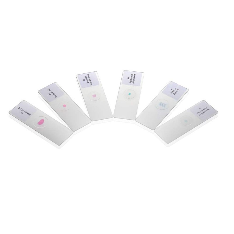 ULAB Basic Biology Prepared Microscope Slides with Specimen for Kids,