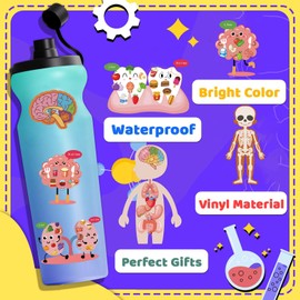 24 Sheets Anatomy Stickers Cute Organs DIY Make A Face Stickers Human Organs Stickers Funny Medical Stickers Waterproof Vinyl Stickers