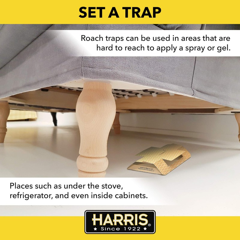 Harris Roach Glue Traps, 2-Pack, for Residential and Commercial Use
