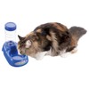 Petio with Dish Water Dispenser, Blue