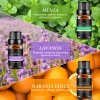 Kit De 12 Aceites Esenciales Aromaterapia 100% Puro 10ml Spa