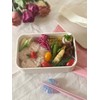 Skater NLP5-A Painted 1-Tier Lunch Box, 16.9 fl oz (500
