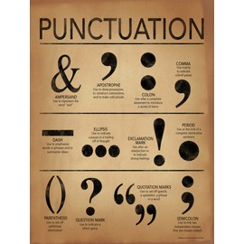 ECHO-LIT, LLC Punctuation Writing and Grammar Poster for Home, Office, Classroom or Library