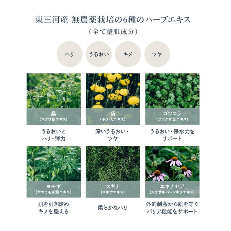 Waphyto UV Cream Pink Glow 30g Sunscreen Makeup Base SPF40