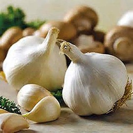 FRESH HIMALAYAS Organic Garlic 15 Bulbs Grew ON HIGH Altitude Fresh Himalayan Garlic Bulb for Spices & Health Benefits Planting & Growing Your OWN - Product of MT. Everest Country, Nepal