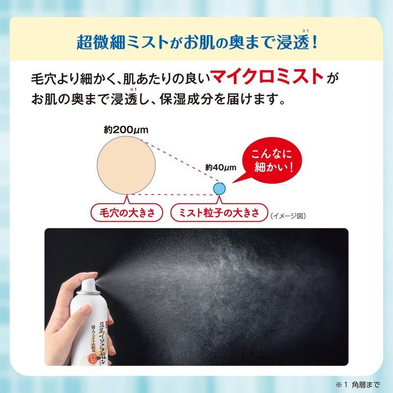 Nameraka Honpo Mist Lotion N (Increased) 10.6 oz (300 g),