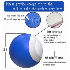 liguanlan Herding Ball for Dogs Large 25 in Blue (25inb)