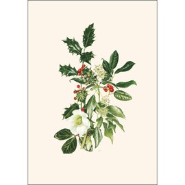 Earth Sky + Water - Hellebore & Holly Notecard Set - 8 Blank Cards with Envelopes