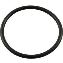 Waterway Plastics 805-0439B Swimming Pool Pump Lid Cover O-Ring for SVL56 Pumps Same as 805-0439