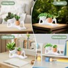 Sederikun Lazy Guy Planter, Decorative Succulent Cactus Pot with Drainage