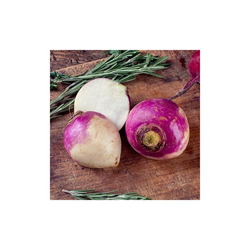 Everwilde Farms - 1/4 Lb Purple Top White Globe Turnip