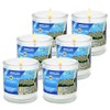 Yahrzeit Memorial Candles - 26 Hr Burn Time | Kosher