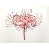 Japanese Spider Lily Anime Flower Holographic Red Sticker Vinyl Decal