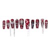 PN-026 Press-On Nails Lacquered Pack of 10 Reusable Artificial Premium